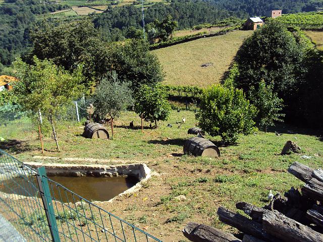 230-Originais Galinheiros.JPG